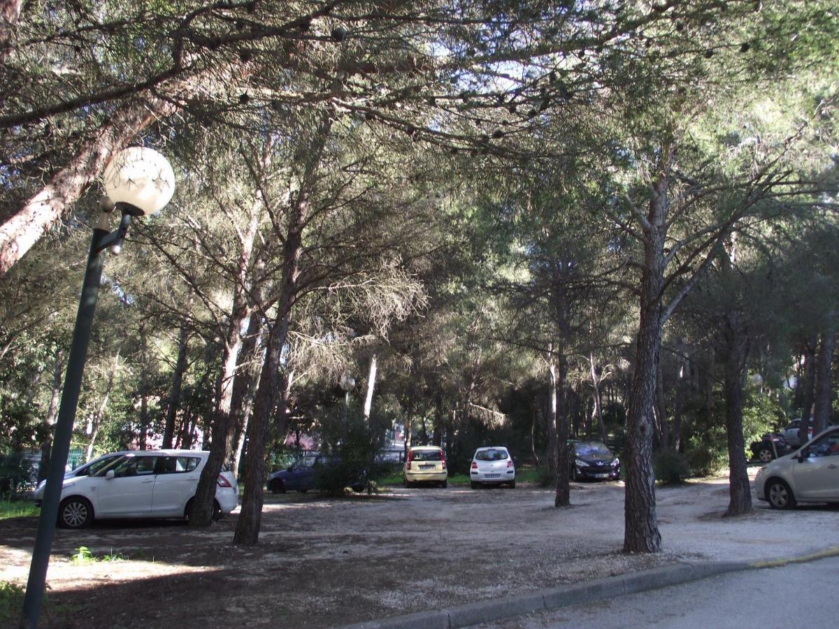 Apartment T2 Climatise A 500m De La Sur La Presqu'ile De Mandrier Sur