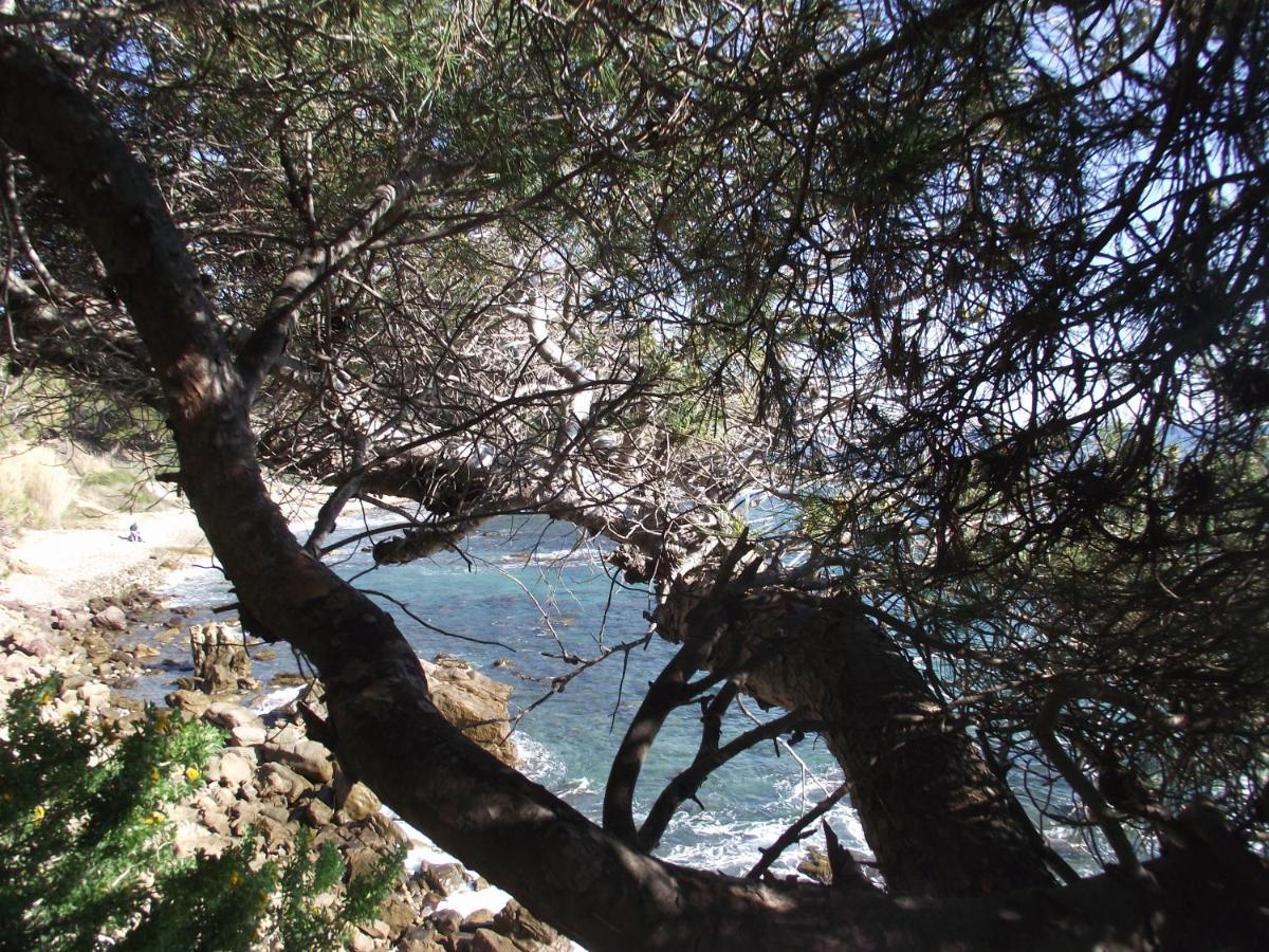 Apartment T2 Climatise A 500m De La Sur La Presqu'ile De Mandrier Sur *